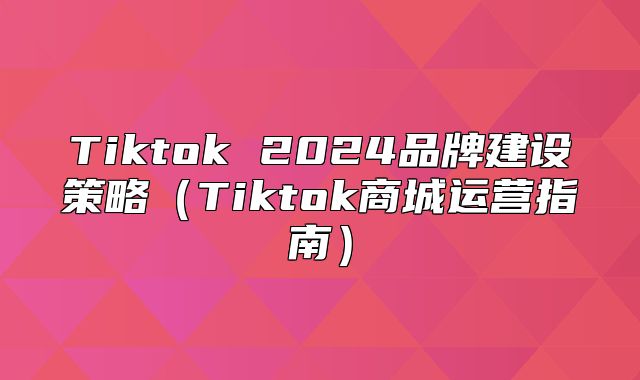 Tiktok 2025品牌建设策略Tiktok商城运营指南
