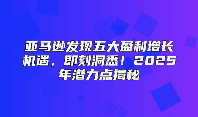 亚马逊发现五大盈利增长机遇，即刻洞悉！2025年潜力点揭秘