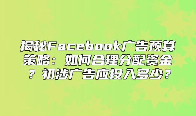 揭秘Facebook广告预算策略：如何合理分配资金？初涉广告应投入多少？