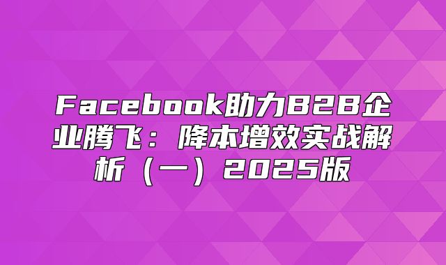 Facebook助力B2B企业腾飞：降本增效实战解析一2025版