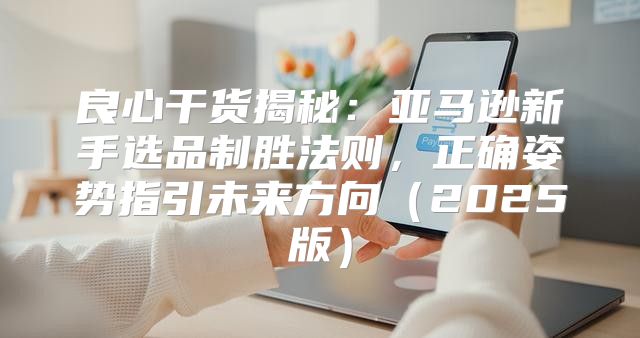 良心干货揭秘：亚马逊新手选品制胜法则，正确姿势指引未来方向2025版