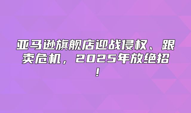 亚马逊旗舰店迎战侵权、跟卖危机，2025年放绝招！