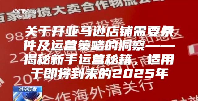 关于开亚马逊店铺需要条件及运营策略的洞察——揭秘新手运营秘籍，适用于即将到来的2025年