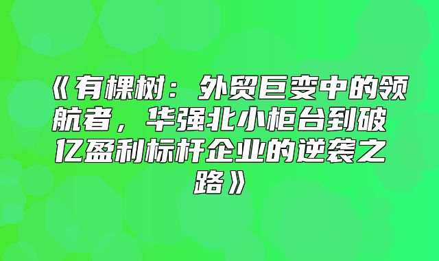 有棵树：外贸巨变中的领航者，华强北小柜台到破亿盈利标杆企业的逆袭之路