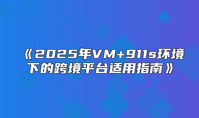2025年VM+911s环境下的跨境平台适用指南
