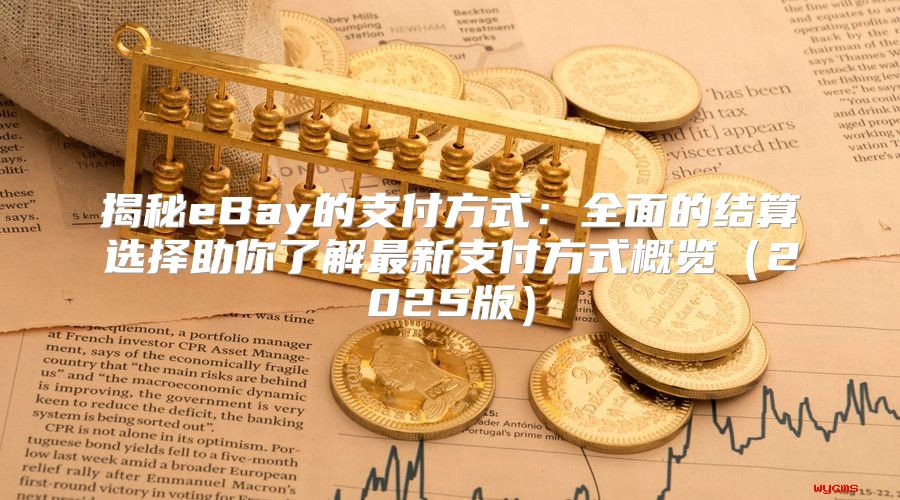 揭秘eBay的支付方式：全面的结算选择助你了解最新支付方式概览2025版