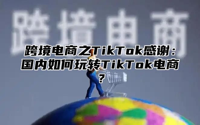 跨境电商之TikTok感谢：国内如何玩转TikTok电商？