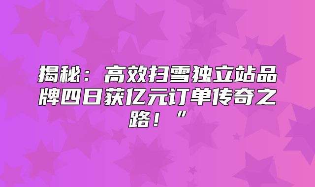揭秘：高效扫雪独立站品牌四日获亿元订单传奇之路！”