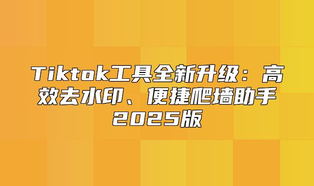 Tiktok工具全新升级：高效去水印、便捷爬墙助手2025版