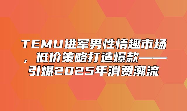 TEMU进军男性情趣市场，低价策略打造爆款——引爆2025年消费潮流