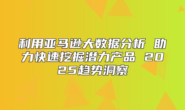 利用亚马逊大数据分析 助力快速挖掘潜力产品 2025趋势洞察