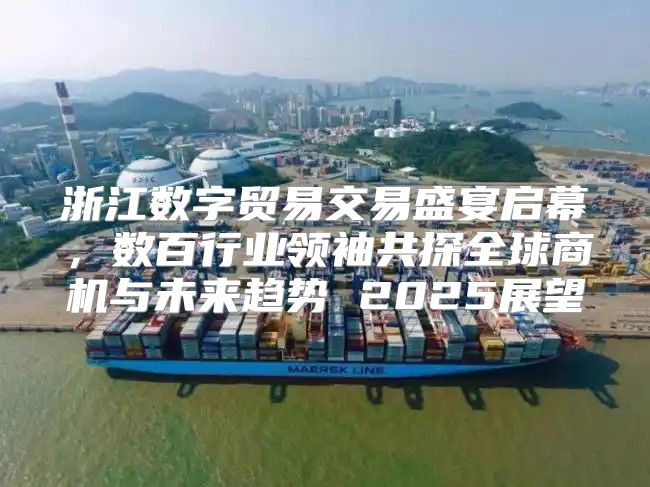 浙江数字贸易交易盛宴启幕，数百行业领袖共探全球商机与未来趋势 2025展望