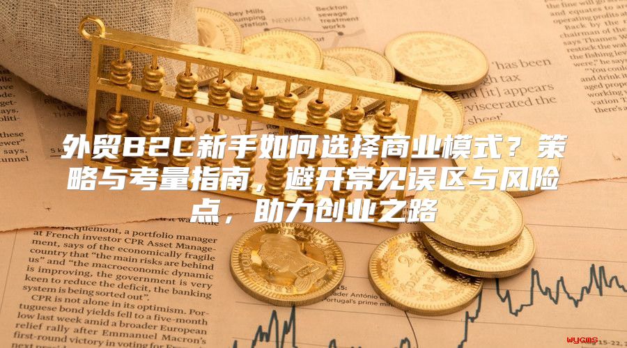 外贸B2C新手如何选择商业模式？策略与考量指南，避开常见误区与风险点，助力创业之路