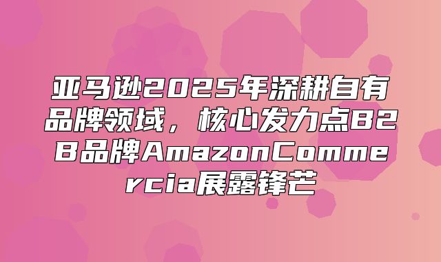 亚马逊2025年深耕自有品牌领域，核心发力点B2B品牌AmazonCommercia展露锋芒