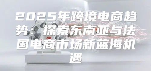 2025年跨境电商趋势：探索东南亚与法国电商市场新蓝海机遇