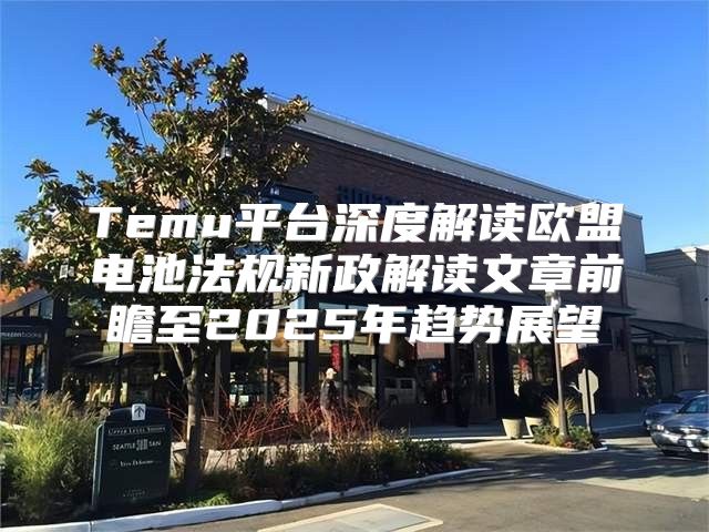 Temu平台深度解读欧盟电池法规新政解读文章前瞻至2025年趋势展望