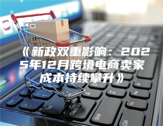 新政双重影响：2025年12月跨境电商卖家成本持续攀升