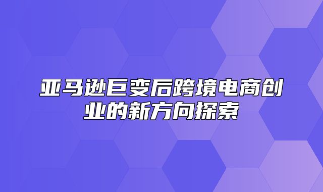 亚马逊巨变后跨境电商创业的新方向探索