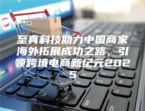 至真科技助力中国商家海外拓展成功之路，引领跨境电商新纪元2025