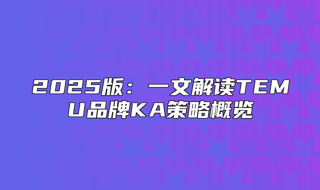 2025版：一文解读TEMU品牌KA策略概览