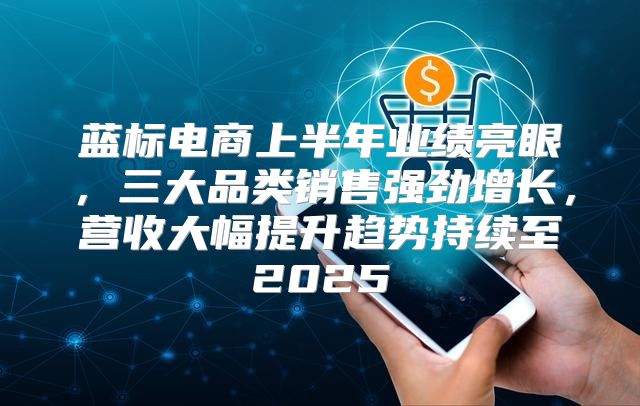 蓝标电商上半年业绩亮眼，三大品类销售强劲增长，营收大幅提升趋势持续至2025