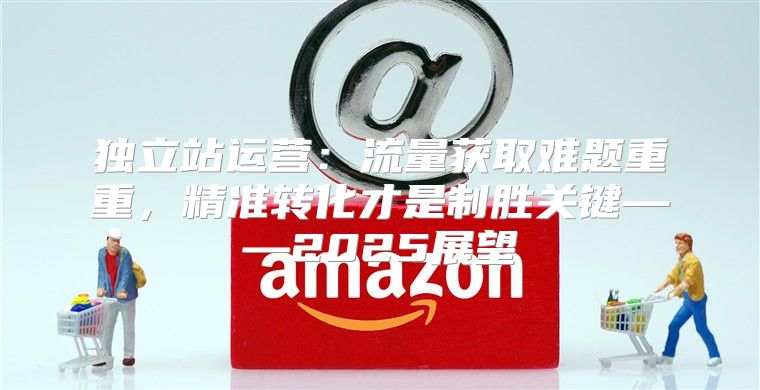 独立站运营：流量获取难题重重，精准转化才是制胜关键——2025展望