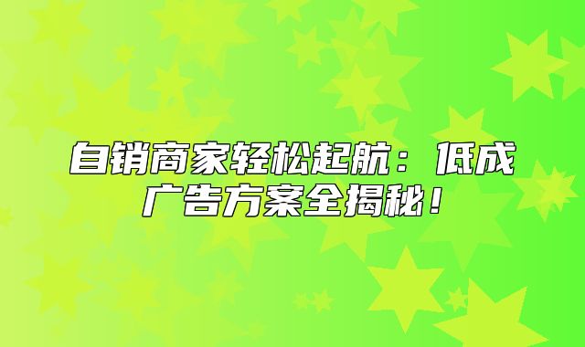 自销商家轻松起航：低成广告方案全揭秘！