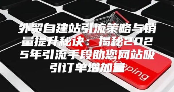 外贸自建站引流策略与销量提升秘诀：揭秘2025年引流手段助您网站吸引订单增加量