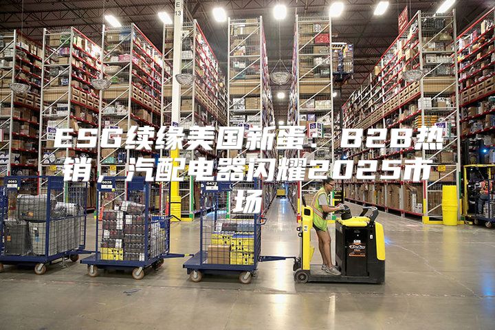 ESG续缘美国新蛋：B2B热销，汽配电器闪耀2025市场