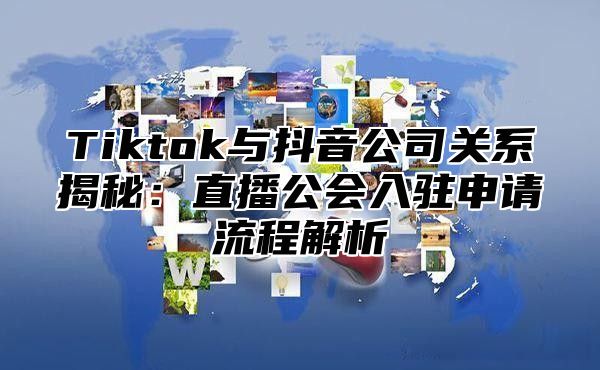 Tiktok与抖音公司关系揭秘：直播公会入驻申请流程解析