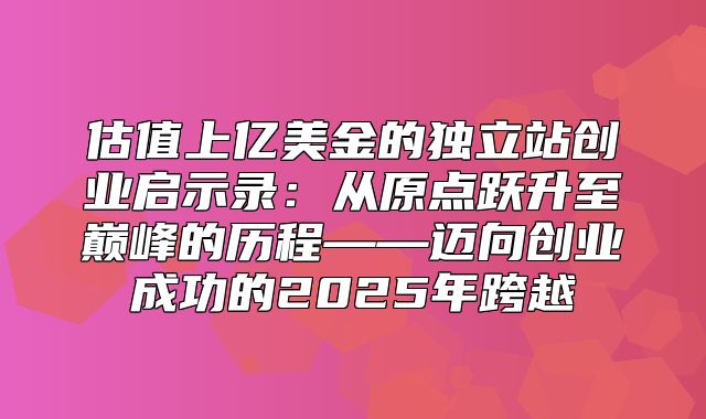 估值上亿美金的独立站创业启示录：从原点跃升至巅峰的历程——迈向创业成功的2025年跨越