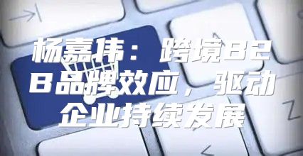杨嘉伟：跨境B2B品牌效应，驱动企业持续发展