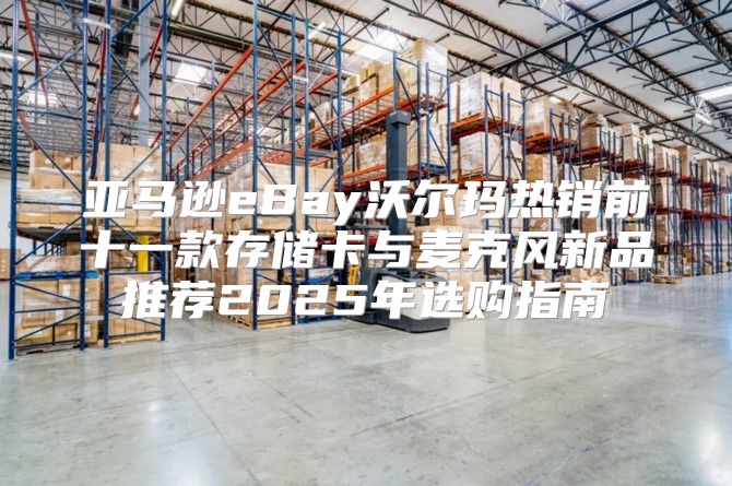 亚马逊eBay沃尔玛热销前十一款存储卡与麦克风新品推荐2025年选购指南