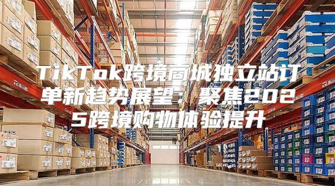 TikTok跨境商城独立站订单新趋势展望：聚焦2025跨境购物体验提升