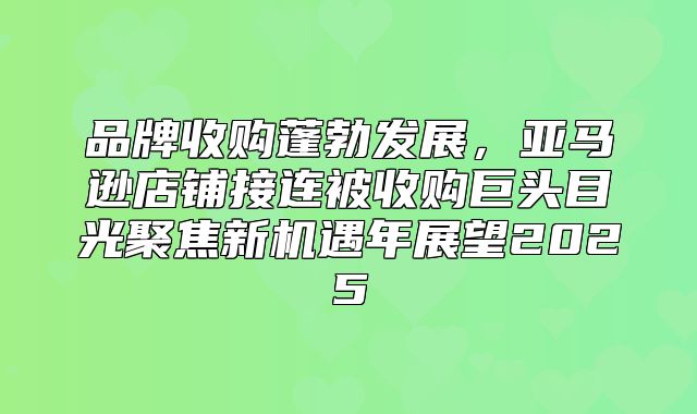 品牌收购蓬勃发展，亚马逊店铺接连被收购巨头目光聚焦新机遇年展望2025