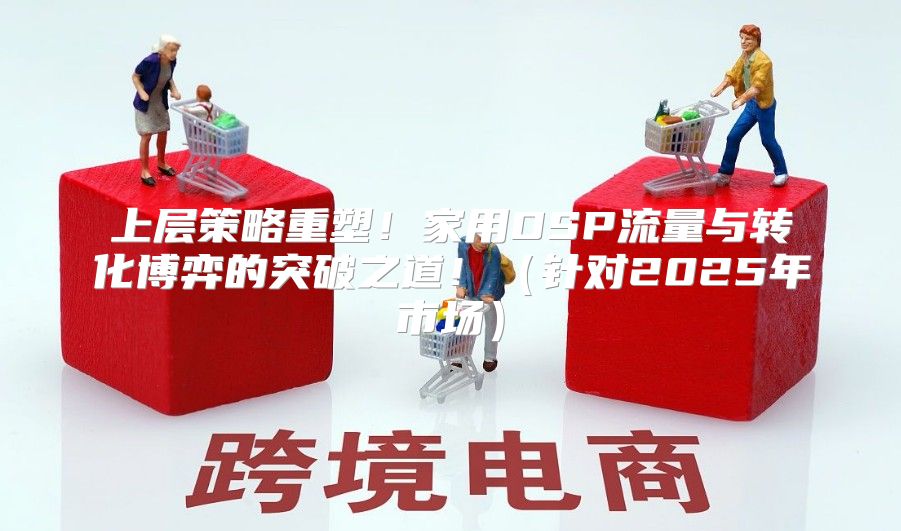 上层策略重塑！家用DSP流量与转化博弈的突破之道！针对2025年市场