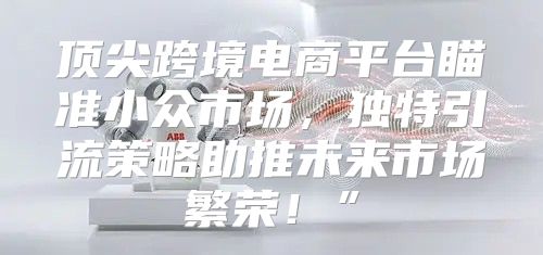 顶尖跨境电商平台瞄准小众市场，独特引流策略助推未来市场繁荣！”