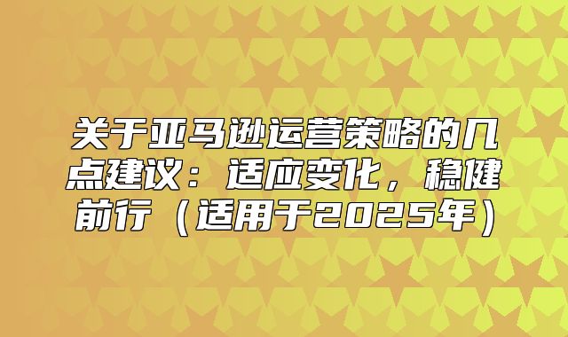 关于亚马逊运营策略的几点建议：适应变化，稳健前行适用于2025年