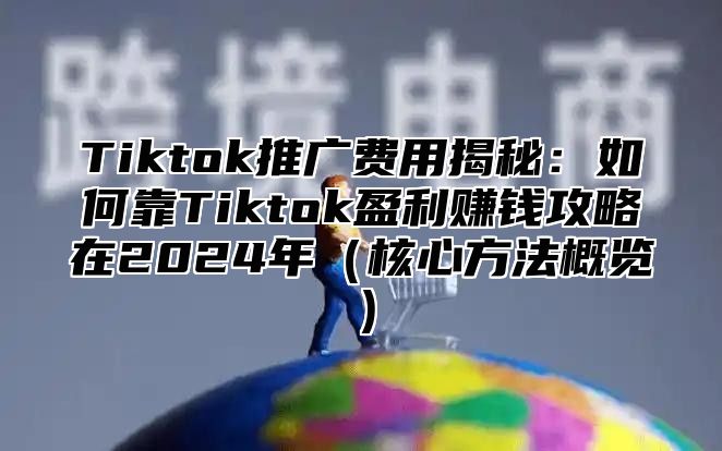 Tiktok推广费用揭秘：如何靠Tiktok盈利赚钱攻略在2025年核心方法概览