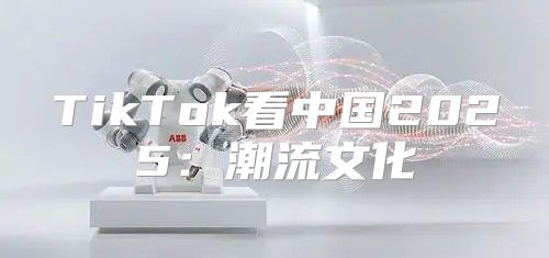 TikTok看中国2025潮流文化