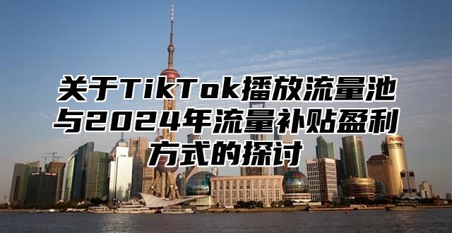关于TikTok播放流量池与2025年流量补贴盈利方式的探讨