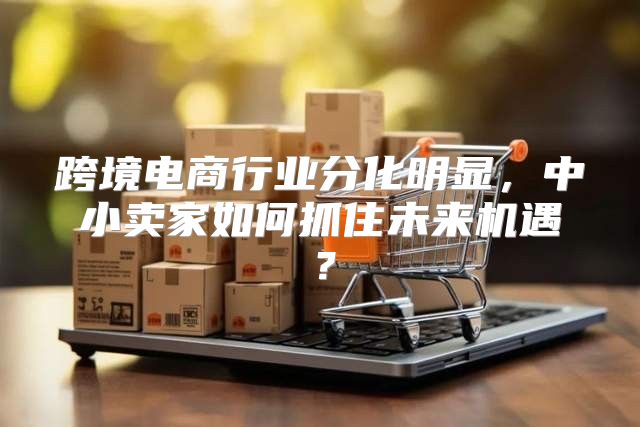 跨境电商行业分化明显，中小卖家如何抓住未来机遇？
