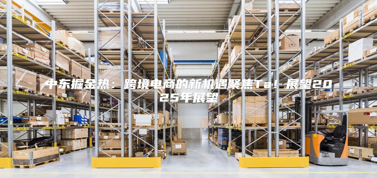 中东掘金热：跨境电商的新机遇聚焦Ta！展望2025年展望