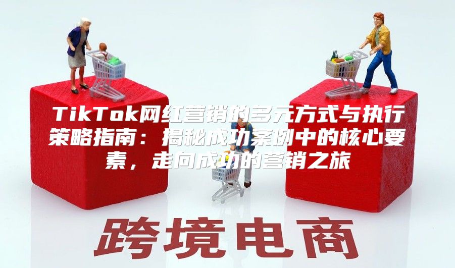 TikTok网红营销的多元方式与执行策略指南：揭秘成功案例中的核心要素，走向成功的营销之旅