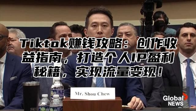 Tiktok赚钱攻略：创作收益指南，打造个人IP盈利秘籍，实现流量变现！