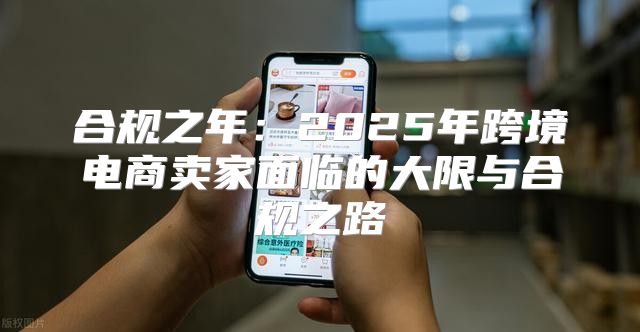合规之年：2025年跨境电商卖家面临的大限与合规之路