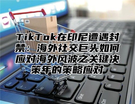 TikTok在印尼遭遇封禁：海外社交巨头如何应对海外风波之关键决策年的策略应对