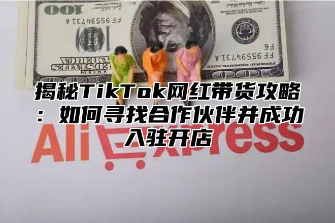 揭秘TikTok网红带货攻略：如何寻找合作伙伴并成功入驻开店