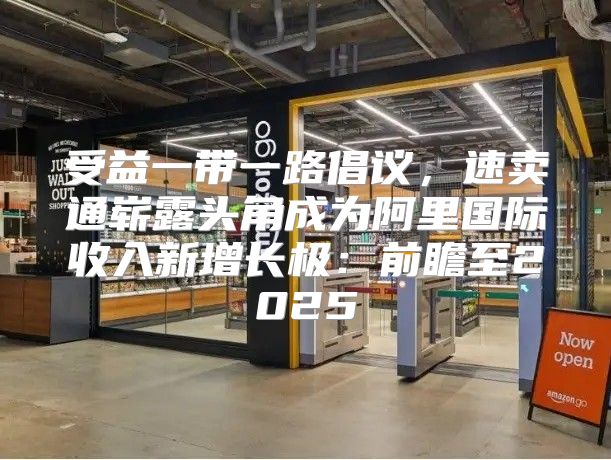 受益一带一路倡议，速卖通崭露头角成为阿里国际收入新增长极：前瞻至2025