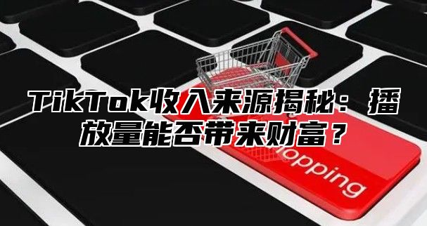 TikTok收入来源揭秘：播放量能否带来财富？